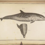 1837 John Hunter Anatomy Atlas Surgery Medicine Illustrated Biology Veterinary