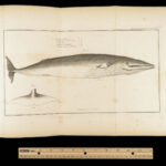 1837 John Hunter Anatomy Atlas Surgery Medicine Illustrated Biology Veterinary