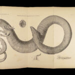 1837 John Hunter Anatomy Atlas Surgery Medicine Illustrated Biology Veterinary