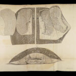 1837 John Hunter Anatomy Atlas Surgery Medicine Illustrated Biology Veterinary