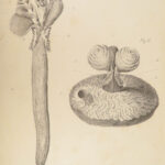 1837 John Hunter Anatomy Atlas Surgery Medicine Illustrated Biology Veterinary
