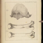 1837 John Hunter Anatomy Atlas Surgery Medicine Illustrated Biology Veterinary