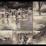1910 Theodore Roosevelt 1st ed African Game Trails Illustrated HUNTING Sporting