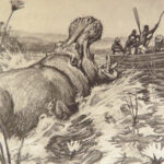 1910 Theodore Roosevelt 1st ed African Game Trails Illustrated HUNTING Sporting