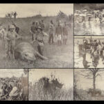 1910 Theodore Roosevelt 1st ed African Game Trails Illustrated HUNTING Sporting