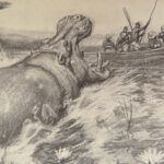1910 Theodore Roosevelt 1st ed African Game Trails Illustrated HUNTING Sporting