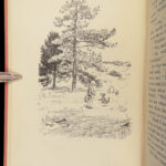 1928 Winnie the Pooh 1st/1st House at Pooh Corner Milne & Shepard Illustrated