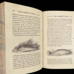 1844 Complete Angler Fishing Hunting Angling Fish Cotton Walton Engravings