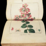 1816 HERBAL by Mordant Launay | Amateur Gardening Botany FLOWERS Plants 5v