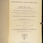 1878 GRAY’S ANATOMY Surgery Illustrated Medicine Physician Cardiology Neurology