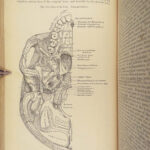 1878 GRAY’S ANATOMY Surgery Illustrated Medicine Physician Cardiology Neurology