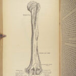 1878 GRAY’S ANATOMY Surgery Illustrated Medicine Physician Cardiology Neurology