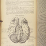 1878 GRAY’S ANATOMY Surgery Illustrated Medicine Physician Cardiology Neurology