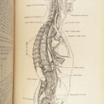 1878 GRAY’S ANATOMY Surgery Illustrated Medicine Physician Cardiology Neurology