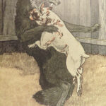 1906 White Fang by Jack London 1st edition | Illustrated Native American Indians