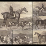 1838 ENORMOUS 1ed British Field Sports by Nimrod | On Horses & Hunting Dogs Art