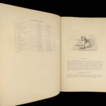1838 ENORMOUS 1ed British Field Sports by Nimrod | On Horses & Hunting Dogs Art
