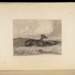 1838 ENORMOUS 1ed British Field Sports by Nimrod | On Horses & Hunting Dogs Art