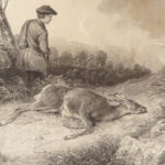 1838 ENORMOUS 1ed British Field Sports by Nimrod | On Horses & Hunting Dogs Art