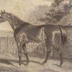 1838 ENORMOUS 1ed British Field Sports by Nimrod | On Horses & Hunting Dogs Art