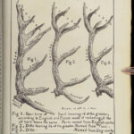 1843 Medieval HUNTS 1ed William Twiti Art of Hunting SECRETS Henry II England