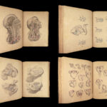 1855 Surgical ANATOMY by Joseph Maclise | Illustrated Medicine FOLIO Atlas
