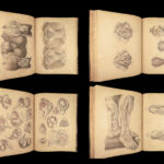 1855 Surgical ANATOMY by Joseph Maclise | Illustrated Medicine FOLIO Atlas