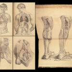 1855 Surgical ANATOMY by Joseph Maclise | Illustrated Medicine FOLIO Atlas