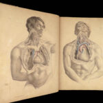 1855 Surgical ANATOMY by Joseph Maclise | Illustrated Medicine FOLIO Atlas