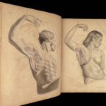 1855 Surgical ANATOMY by Joseph Maclise | Illustrated Medicine FOLIO Atlas