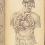 1855 Surgical ANATOMY by Joseph Maclise | Illustrated Medicine FOLIO Atlas