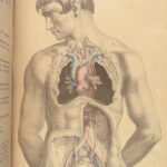 1855 Surgical ANATOMY by Joseph Maclise | Illustrated Medicine FOLIO Atlas