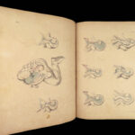 1855 Surgical ANATOMY by Joseph Maclise | Illustrated Medicine FOLIO Atlas