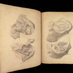 1855 Surgical ANATOMY by Joseph Maclise | Illustrated Medicine FOLIO Atlas