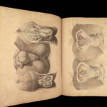 1855 Surgical ANATOMY by Joseph Maclise | Illustrated Medicine FOLIO Atlas