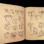 1855 Surgical ANATOMY by Joseph Maclise | Illustrated Medicine FOLIO Atlas