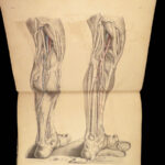 1855 Surgical ANATOMY by Joseph Maclise | Illustrated Medicine FOLIO Atlas