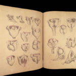 1855 Surgical ANATOMY by Joseph Maclise | Illustrated Medicine FOLIO Atlas