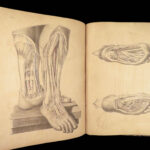 1855 Surgical ANATOMY by Joseph Maclise | Illustrated Medicine FOLIO Atlas