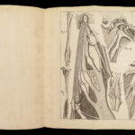1765 Le Cat on Muscle Nerve Fluid | 1st edition Medicine Human Anatomy NERVES