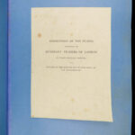 1804 STUNNING Illustrations from Modern London Cries 1st FOLIO Color Engravings
