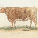 1814 Practical Agriculture by Dickson | FARMING Illustrated Husbandry 2v SET