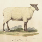 1814 Practical Agriculture by Dickson | FARMING Illustrated Husbandry 2v SET