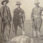 1910 Theodore Roosevelt 1st ed African Game Trails Illustrated HUNTING Sporting
