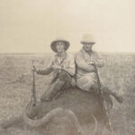 1910 Theodore Roosevelt 1st ed African Game Trails Illustrated HUNTING Sporting