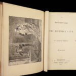 1866 Charles Dickens Works Great Expectations Oliver Twist Tale of Two Cities 18v