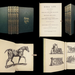 1868 Rural Life by Sherer | Agriculture Hunting Farming Illustrated Dogs & Horses 5v