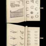 1868 Rural Life by Sherer | Agriculture Hunting Farming Illustrated Dogs & Horses 5v