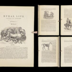1868 Rural Life by Sherer | Agriculture Hunting Farming Illustrated Dogs & Horses 5v