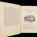 1868 Rural Life by Sherer | Agriculture Hunting Farming Illustrated Dogs & Horses 5v
